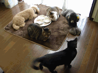 c0136736_2227433.gif