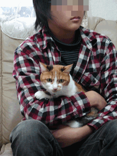c0136736_2229899.gif