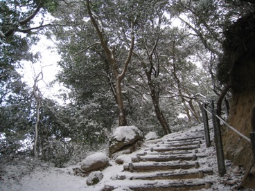 c0077338_1375145.jpg