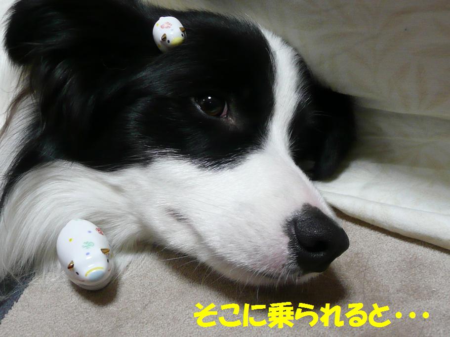 c0147241_10375688.jpg