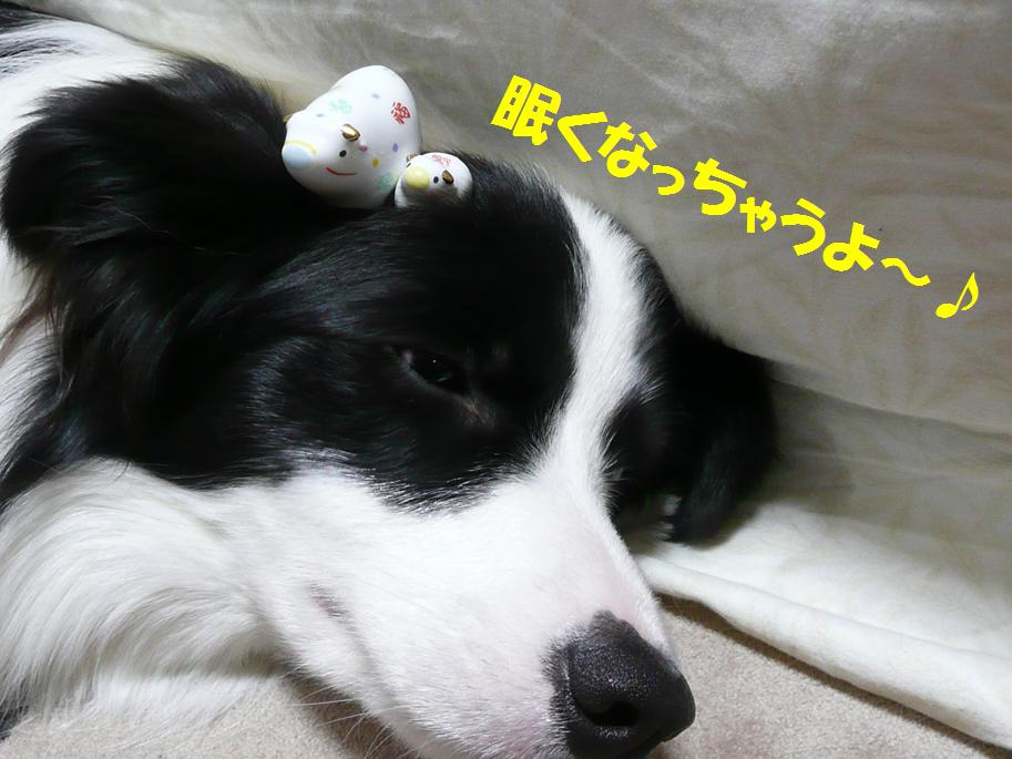 c0147241_1038328.jpg