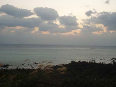 f0014842_16325662.jpg