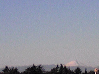 b0090243_20321438.jpg