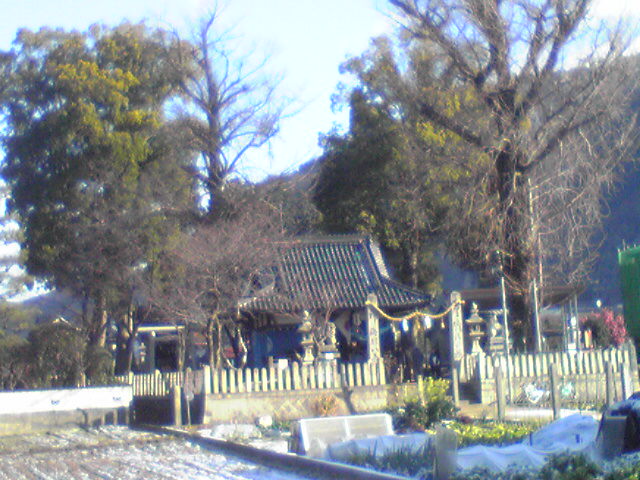 b0053444_23554768.jpg