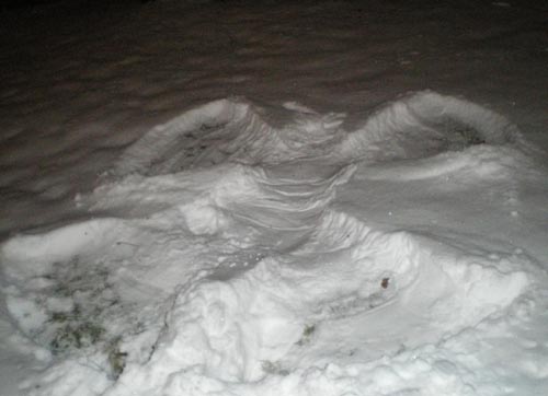 e0016845_1518744.jpg