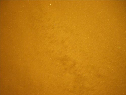 e0016845_1519948.jpg
