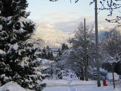 e0016845_1591542.jpg