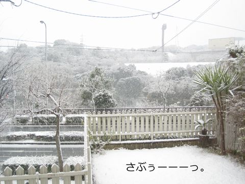 a0090451_23362773.jpg