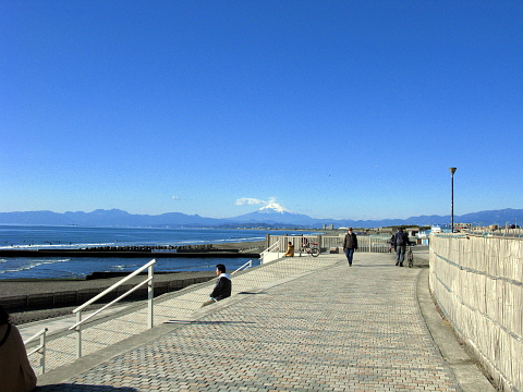 e0050753_19231648.jpg