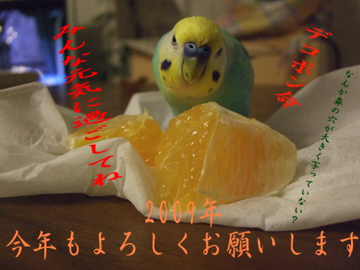 f0149057_23434062.jpg