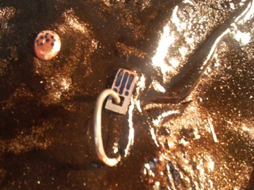 d0128864_23251881.jpg