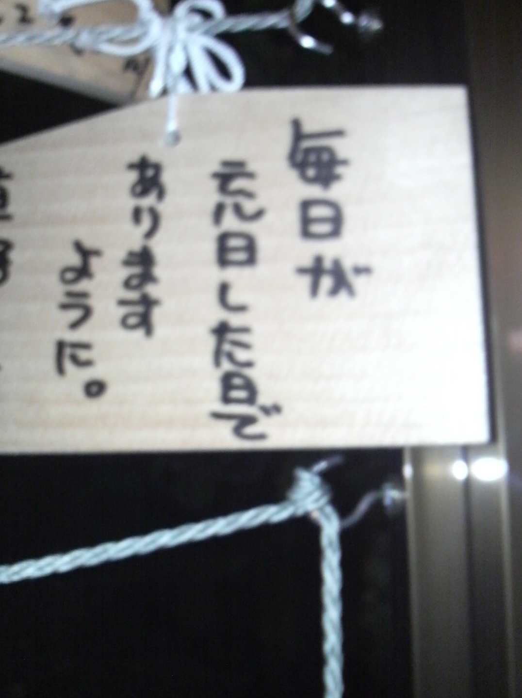 a0095069_23521075.jpg