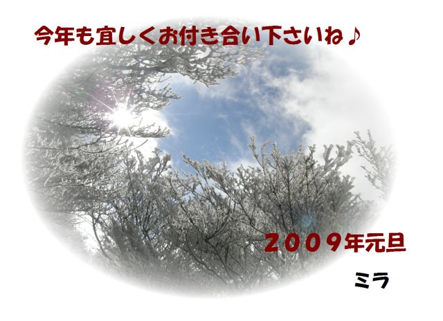 c0042869_023173.jpg