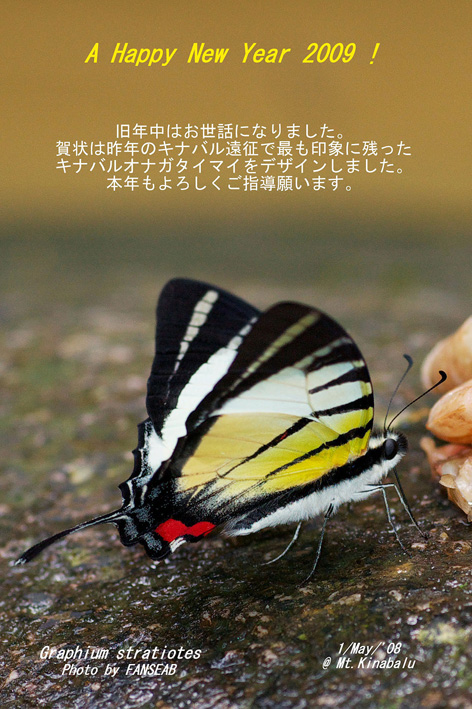 f0090680_1124513.jpg