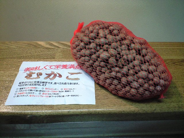 f0051283_15514764.jpg
