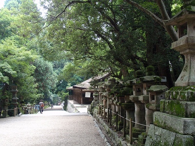 c0105785_1423883.jpg