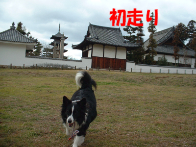 c0120585_20441326.jpg