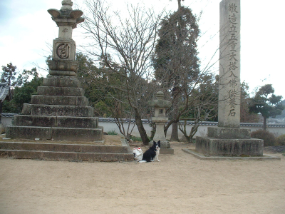 c0120585_2045391.jpg