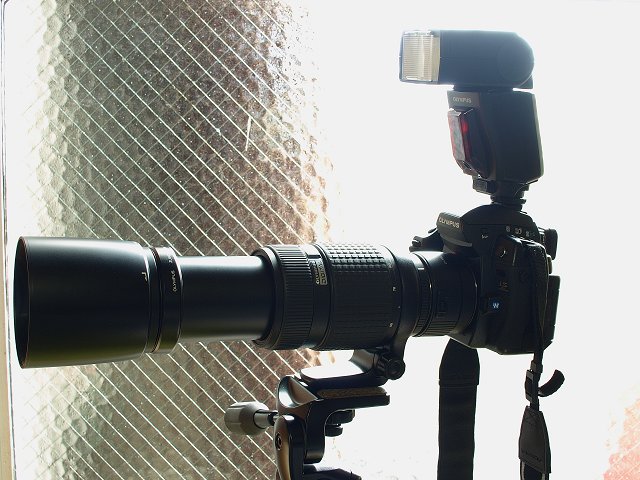 c0187587_11283637.jpg