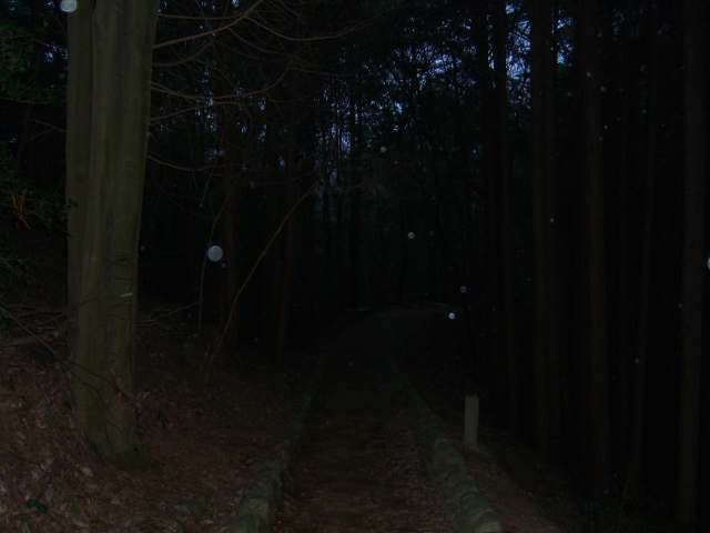 d0092388_102185.jpg