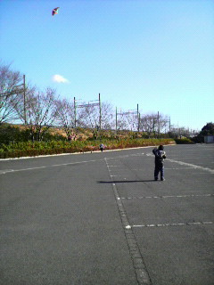 c0124790_16175220.jpg