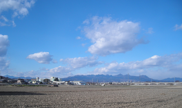 d0000995_20193691.jpg
