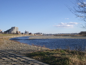 f0089400_1645157.jpg