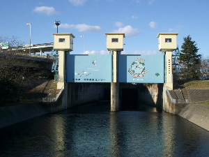 f0089400_1661860.jpg
