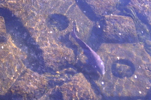 f0089400_1681085.jpg