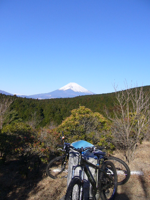 e0015108_8422854.jpg