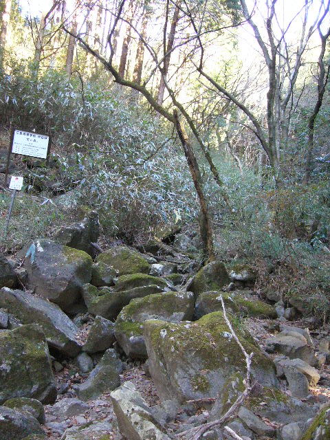 e0015108_8522920.jpg