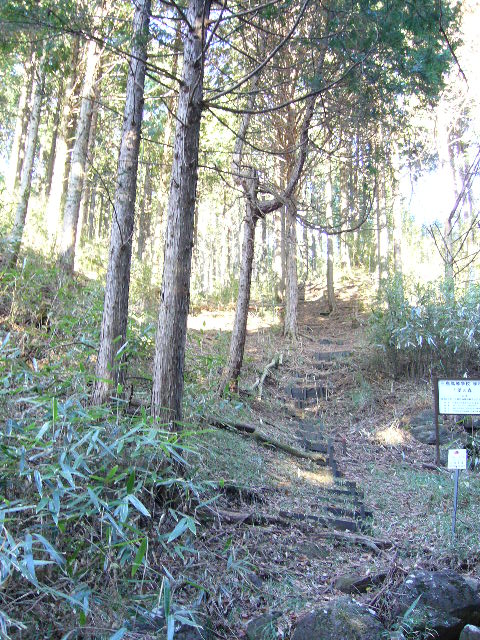 e0015108_854119.jpg