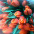 c0111310_22185759.jpg