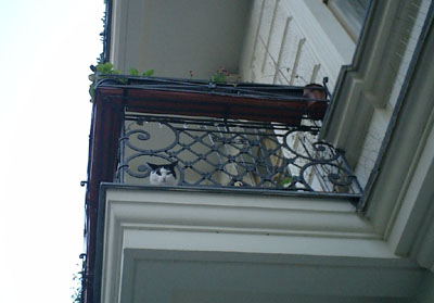 e0038811_016113.jpg