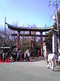 e0134616_23572098.jpg