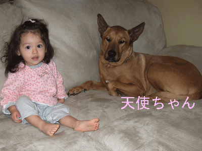 c0151122_14383839.gif