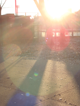 d0002224_2226340.gif