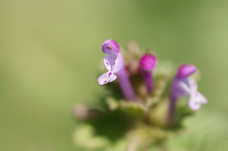 d0089024_12121287.jpg