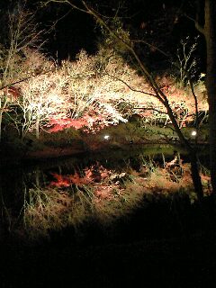 f0084232_15422.jpg