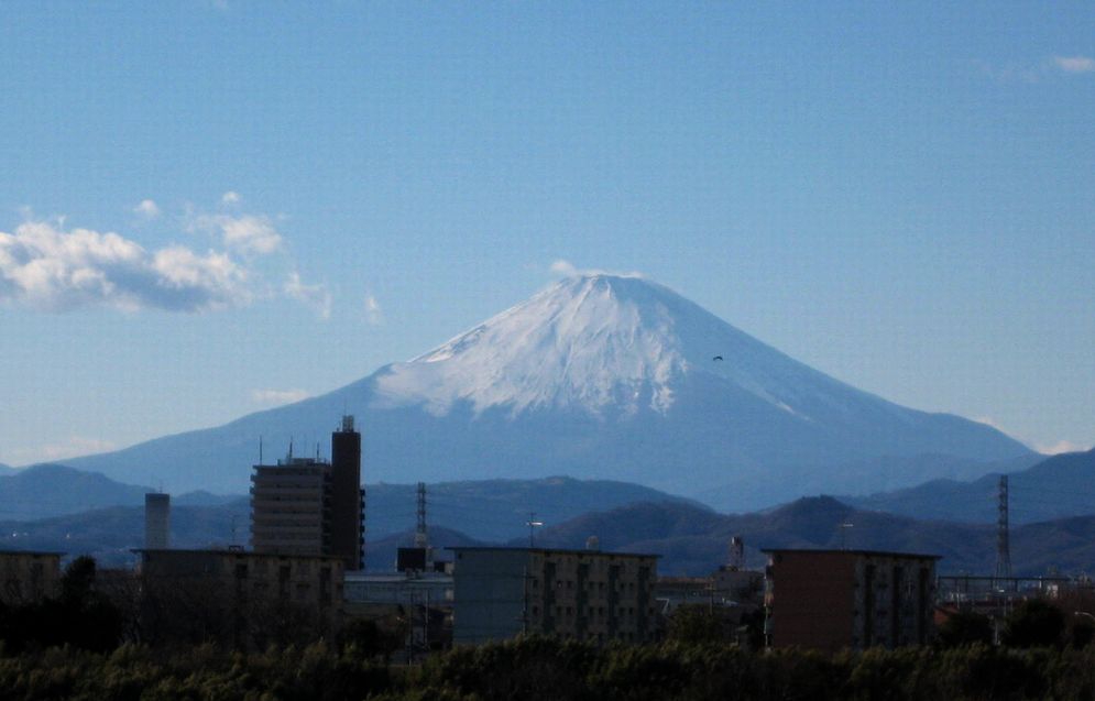 e0149934_19501693.jpg