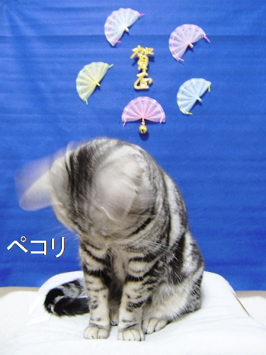 f0175434_1195175.jpg