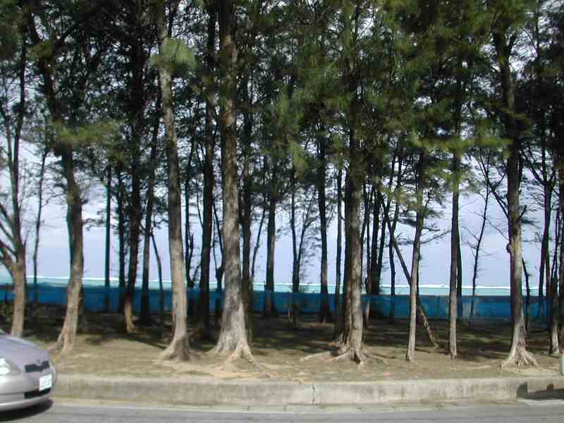 e0062635_1454583.jpg