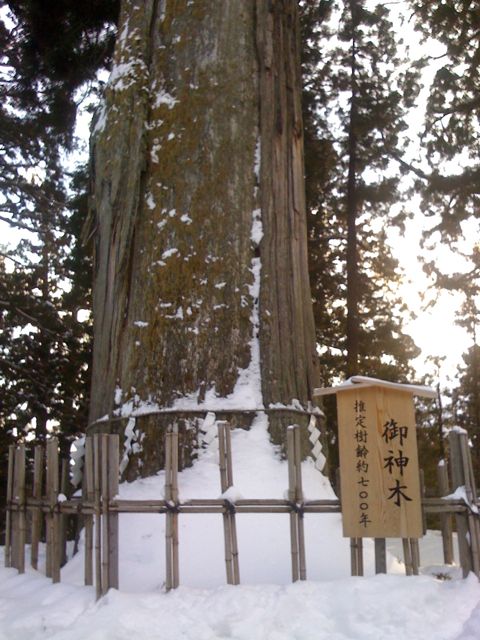 f0039538_20115537.jpg