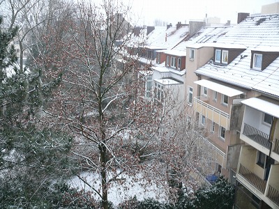 c0153740_2033125.jpg