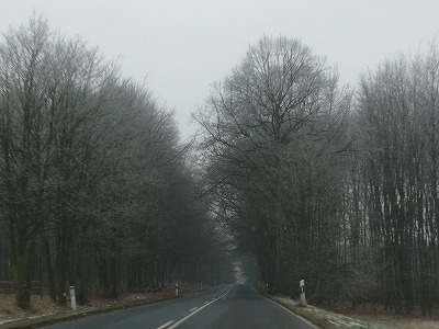 c0153740_7393061.jpg