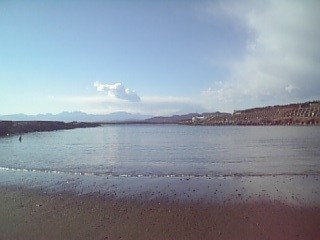 b0032346_144291.jpg