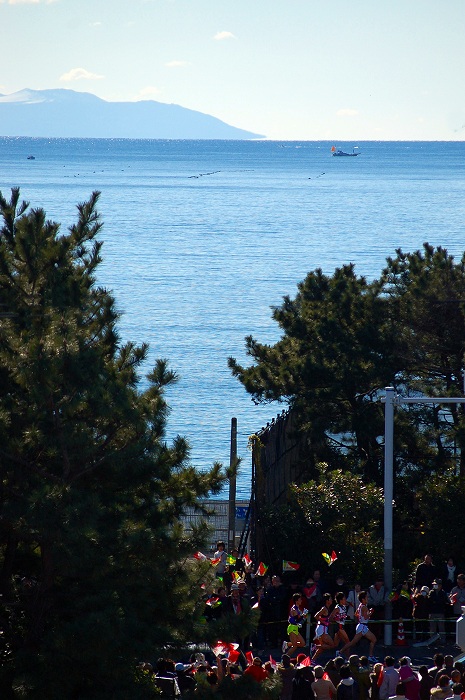 d0123346_1157485.jpg