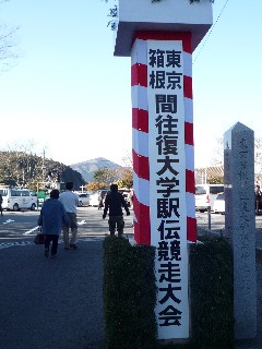 d0036951_1592565.jpg