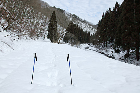 e0113053_23342176.jpg