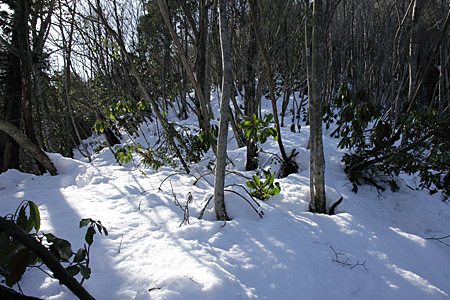 e0113053_23353072.jpg